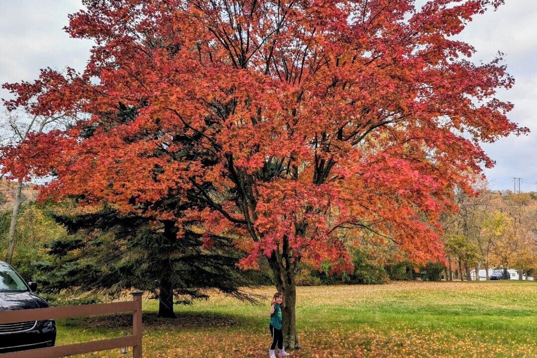 Photo of Others in Nescopeck