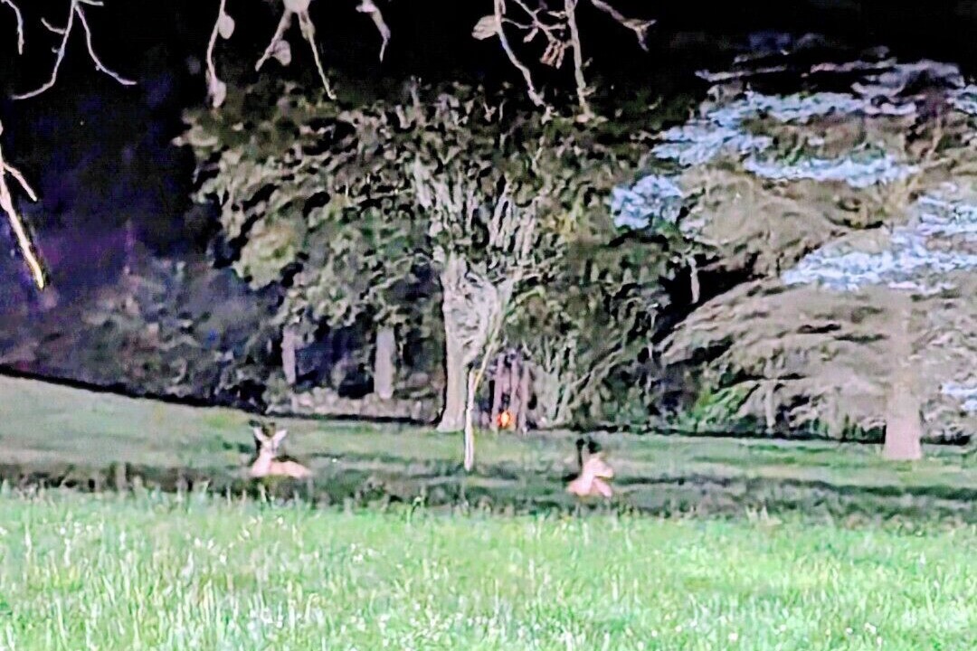 Photo of Others in Nescopeck