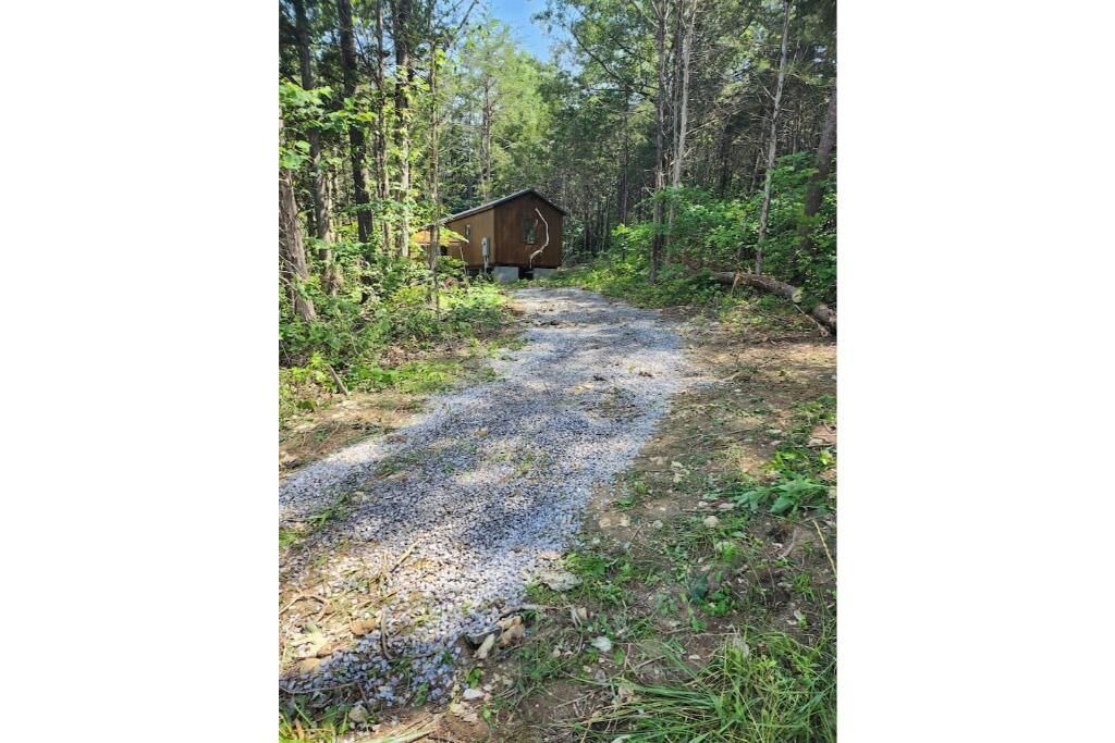 Photo of Outdoor in Luttrell