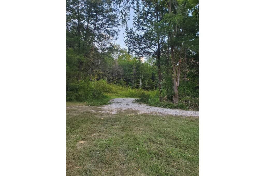 Photo of Others in Luttrell