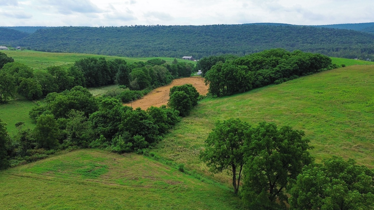 Photo of Others in Spring Mills