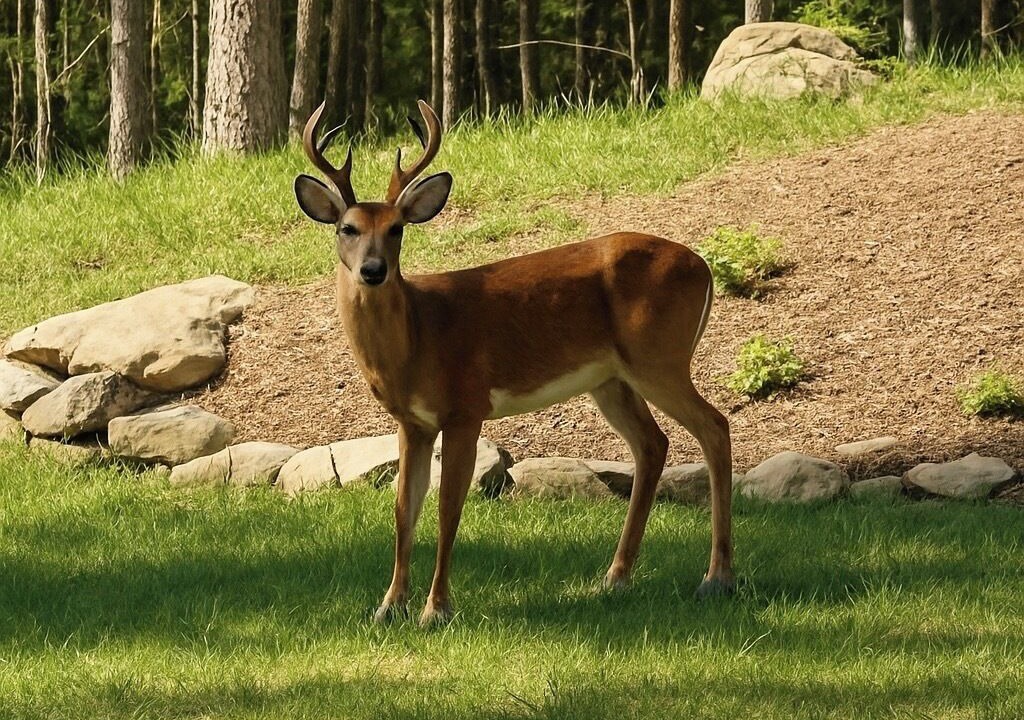 Photo of Others in East Stroudsburg
