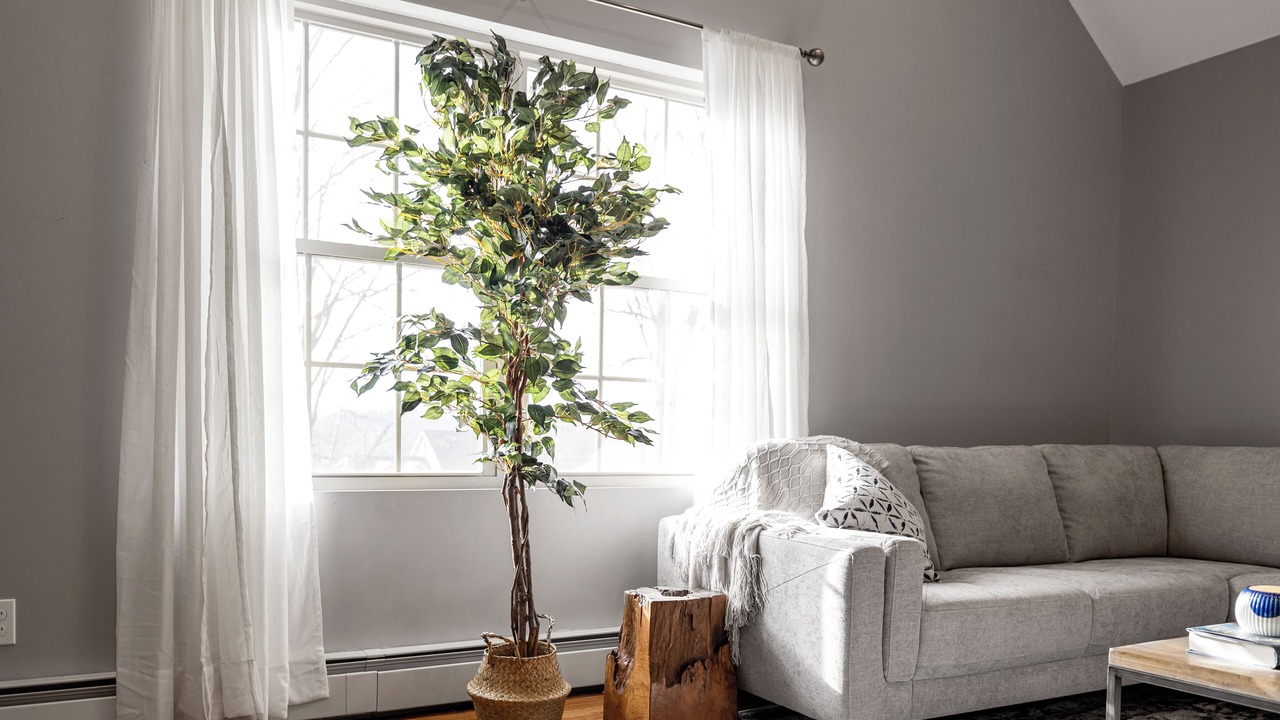 Photo of Livingroom in Chester