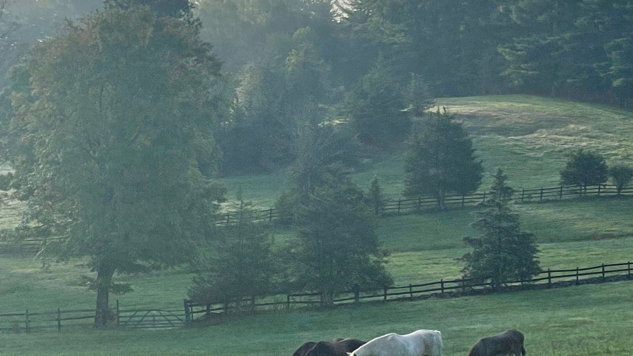 Photo of Others in Pleasant Valley