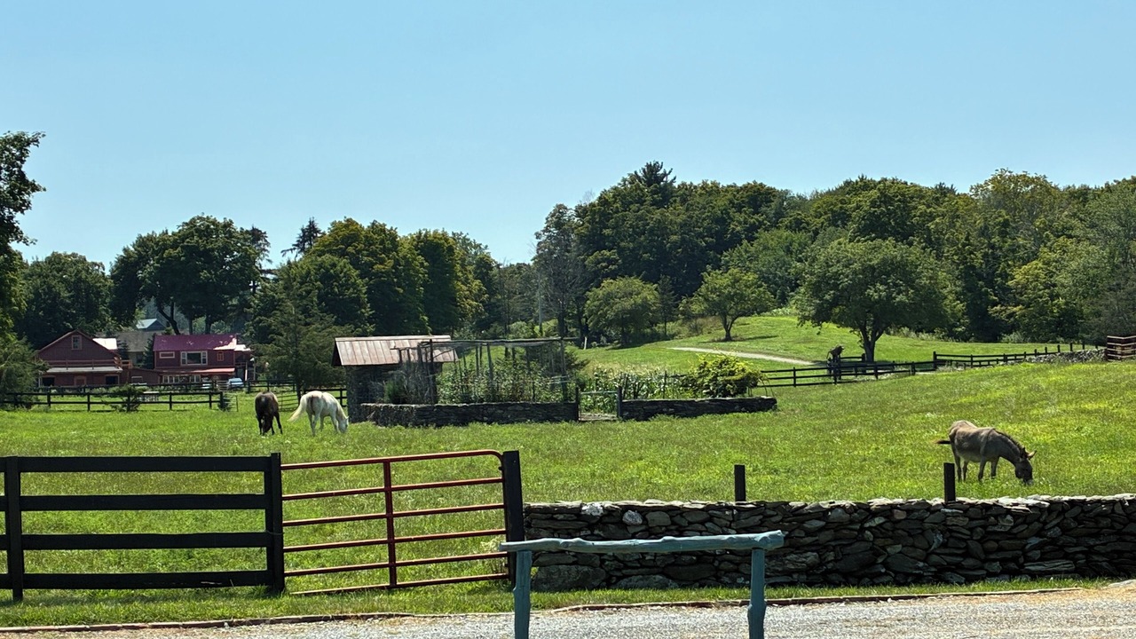 Photo of Others in Pleasant Valley