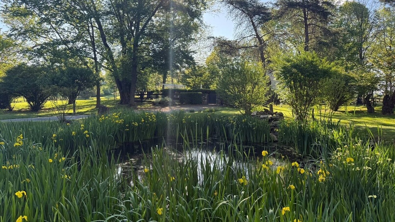 Photo of Outdoor in Rippon