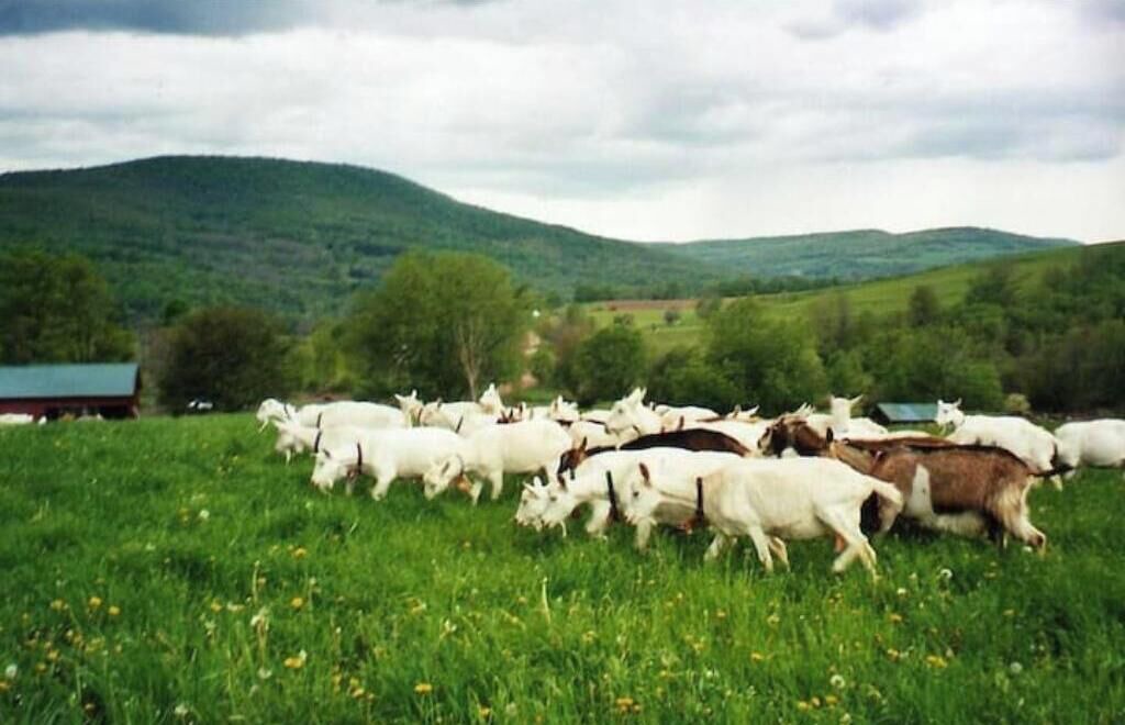 Photo of Others in Meredith