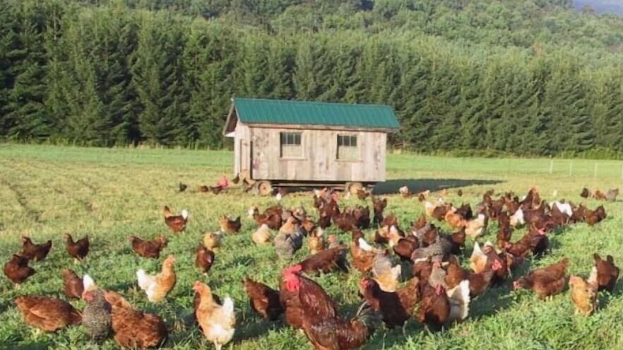 Photo of Others in Meredith