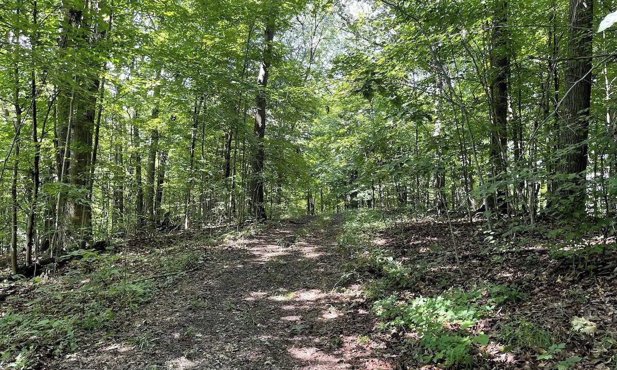 Photo of Outdoor in Cuyahoga Falls