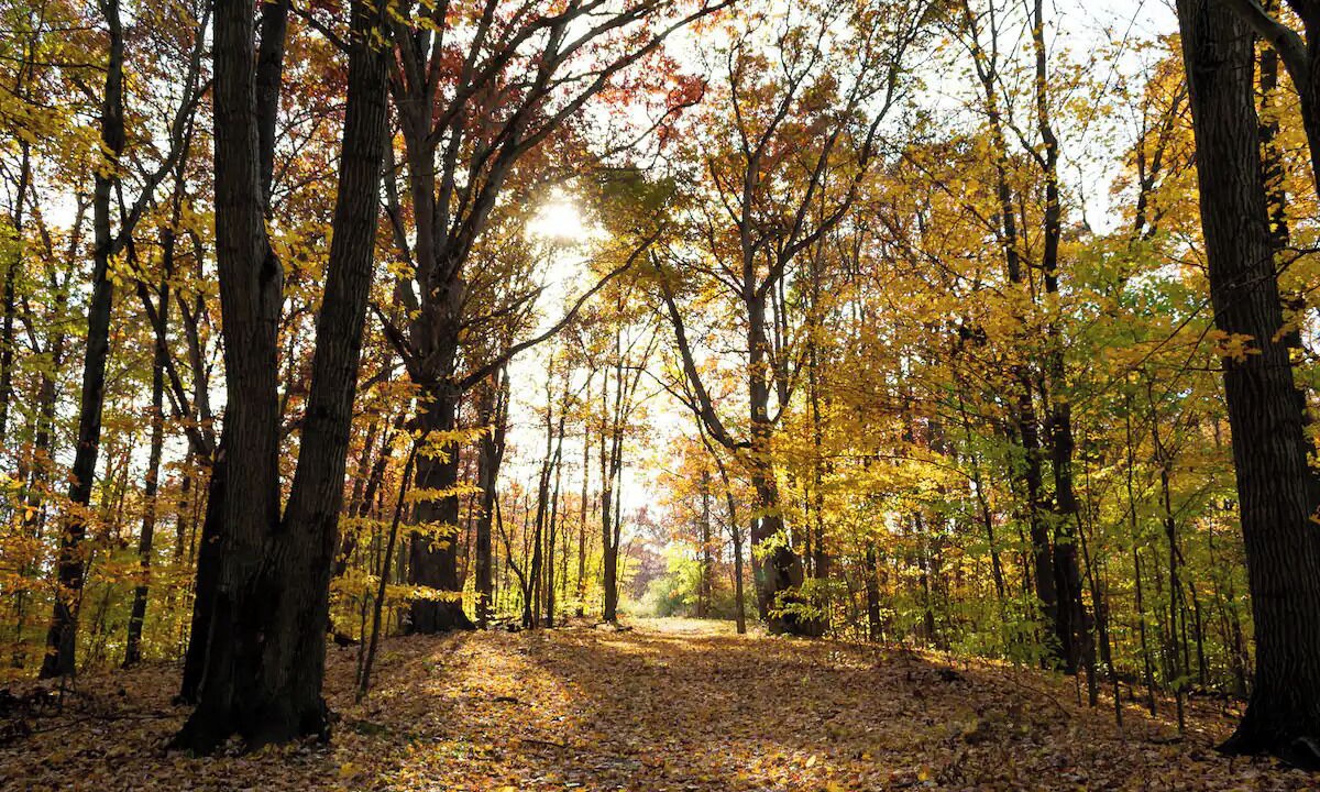 Photo of Outdoor in Cuyahoga Falls