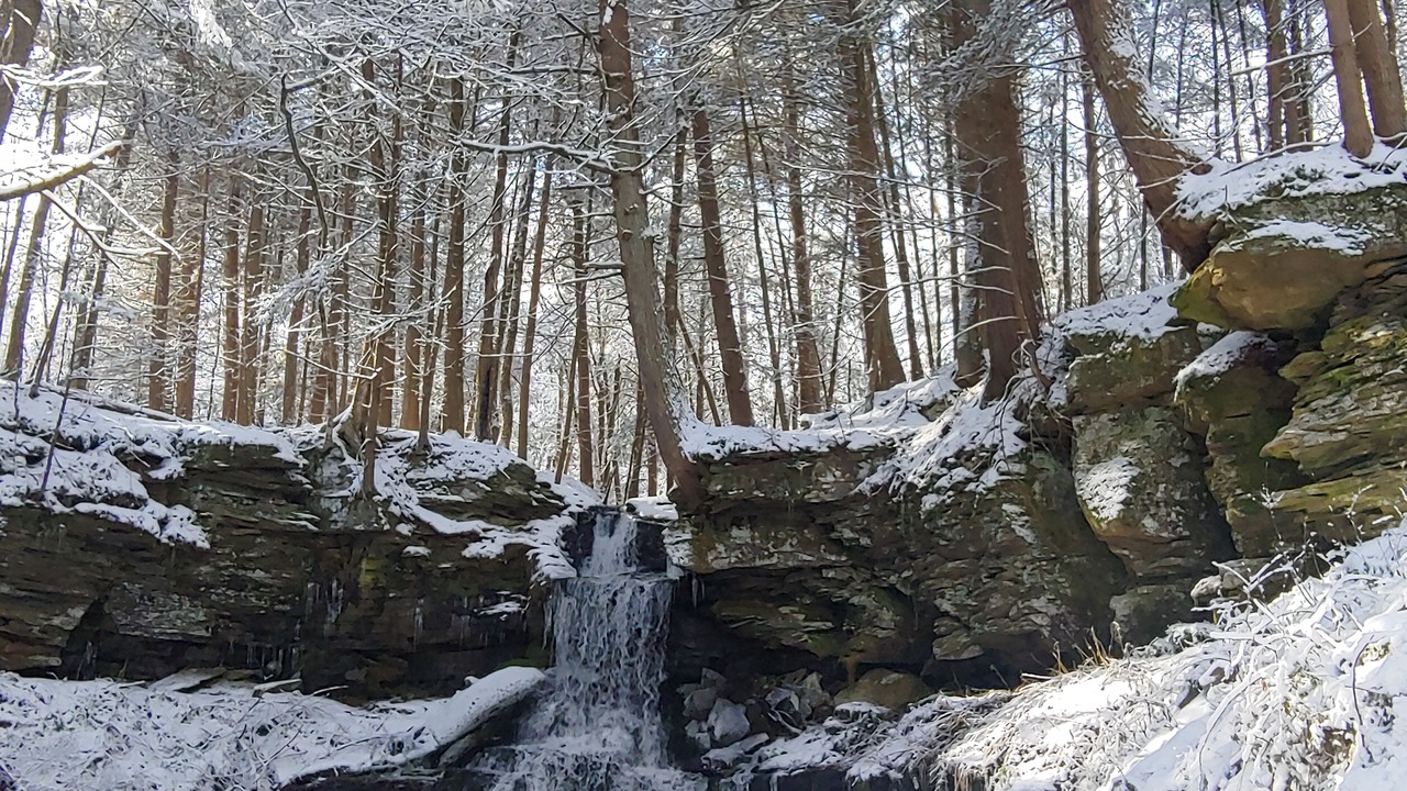 Photo of Others in East Branch
