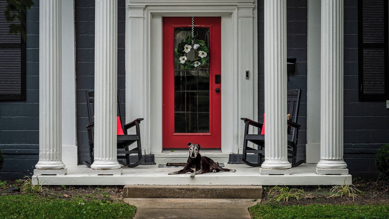 Photo of Outdoor in Shelbyville