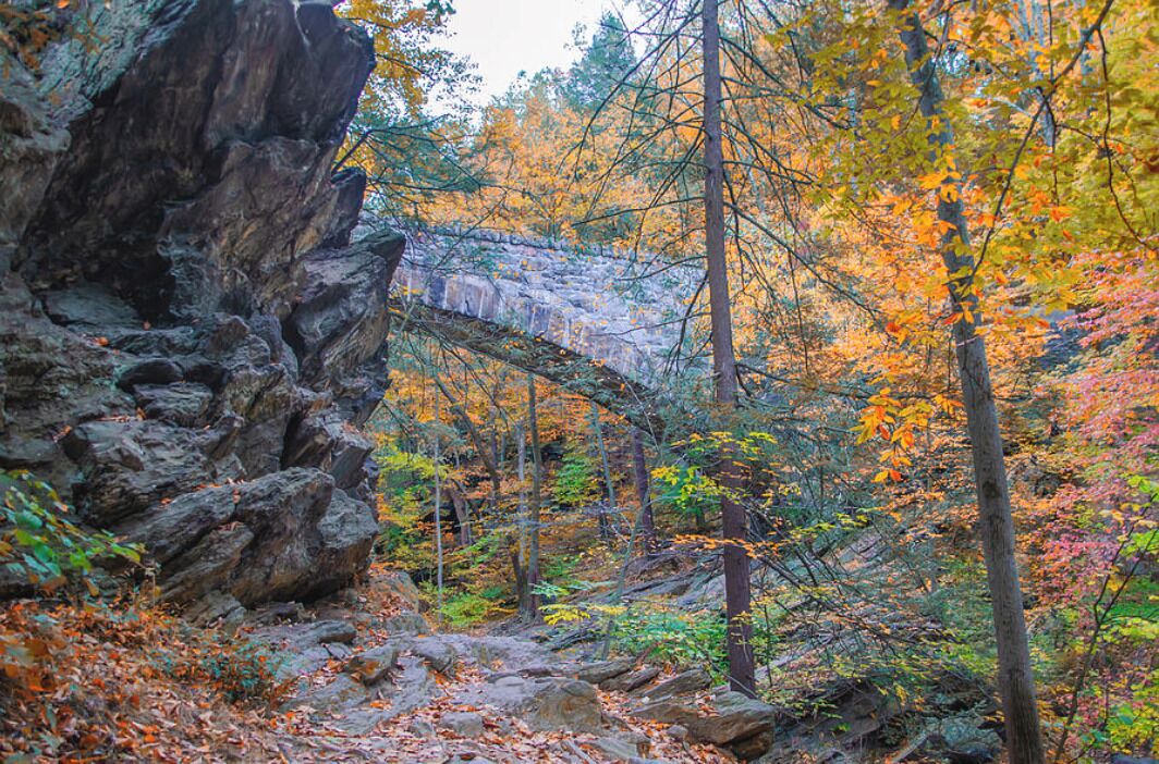 Photo of Outdoor in Roxborough-Manayunk