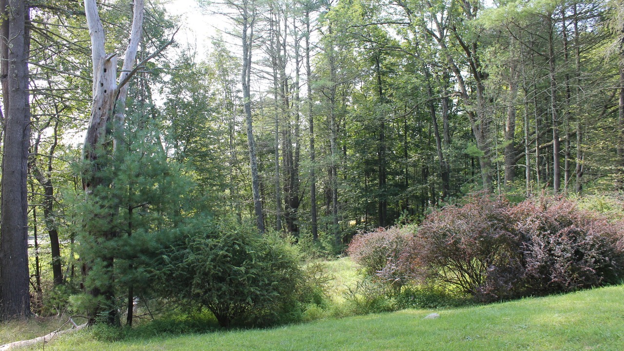 Photo of Outdoor in Barryville