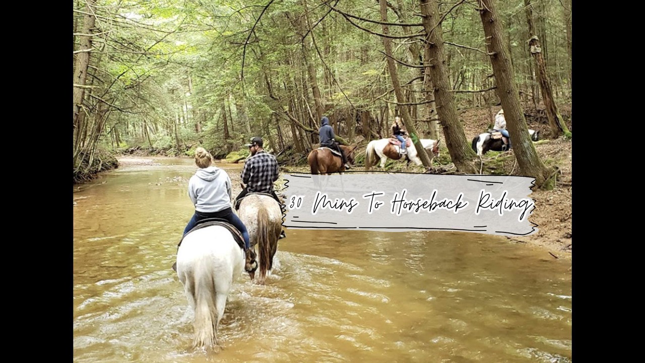 Photo of Others in Tionesta