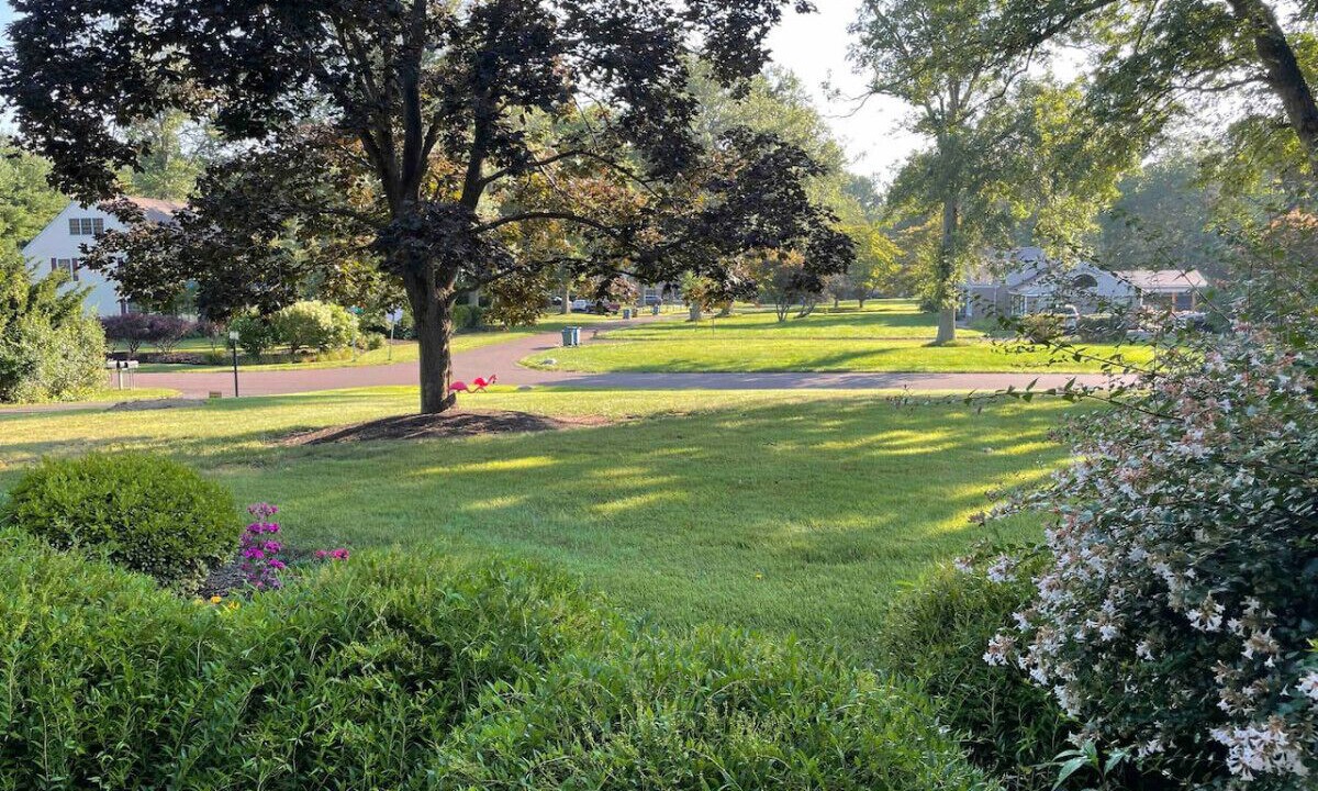 Photo of Outdoor in Washington Crossing