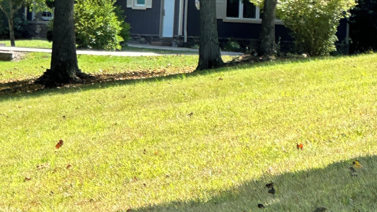 Photo of Outdoor in Oak Hill