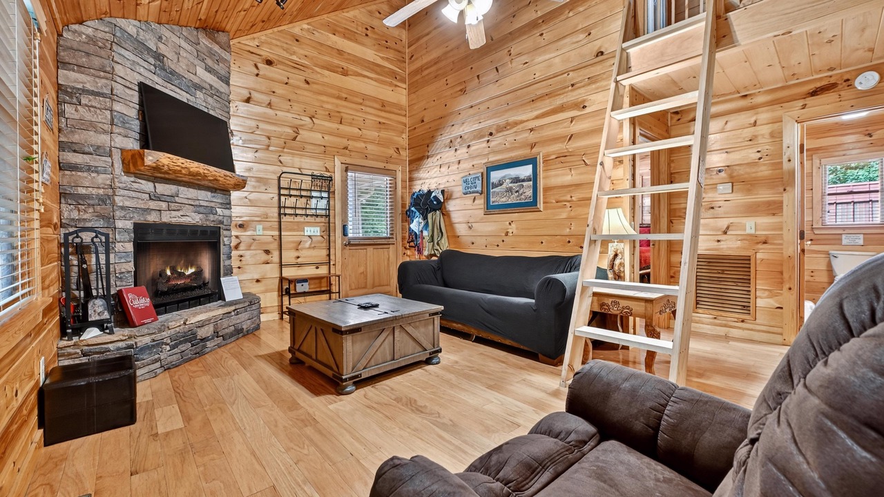 Photo of Livingroom in Copperhill
