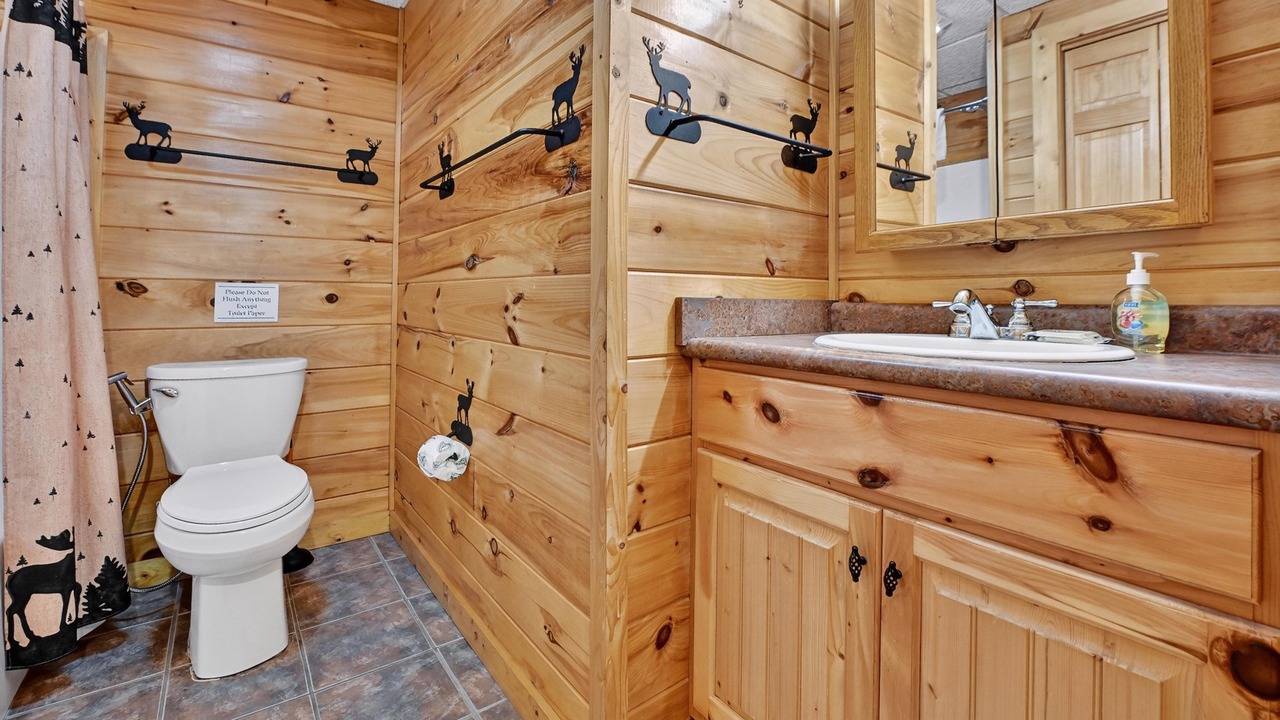 Photo of Bathroom in Copperhill