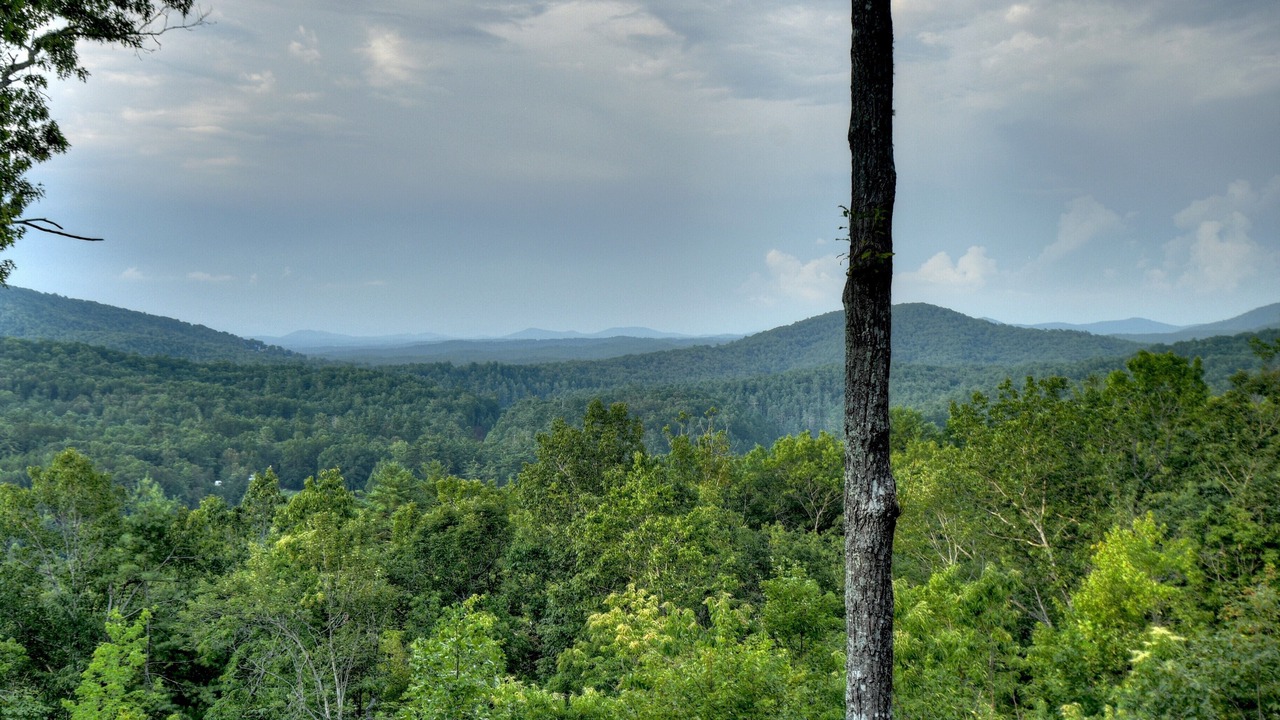 Photo of Others in Raccoon Ridge