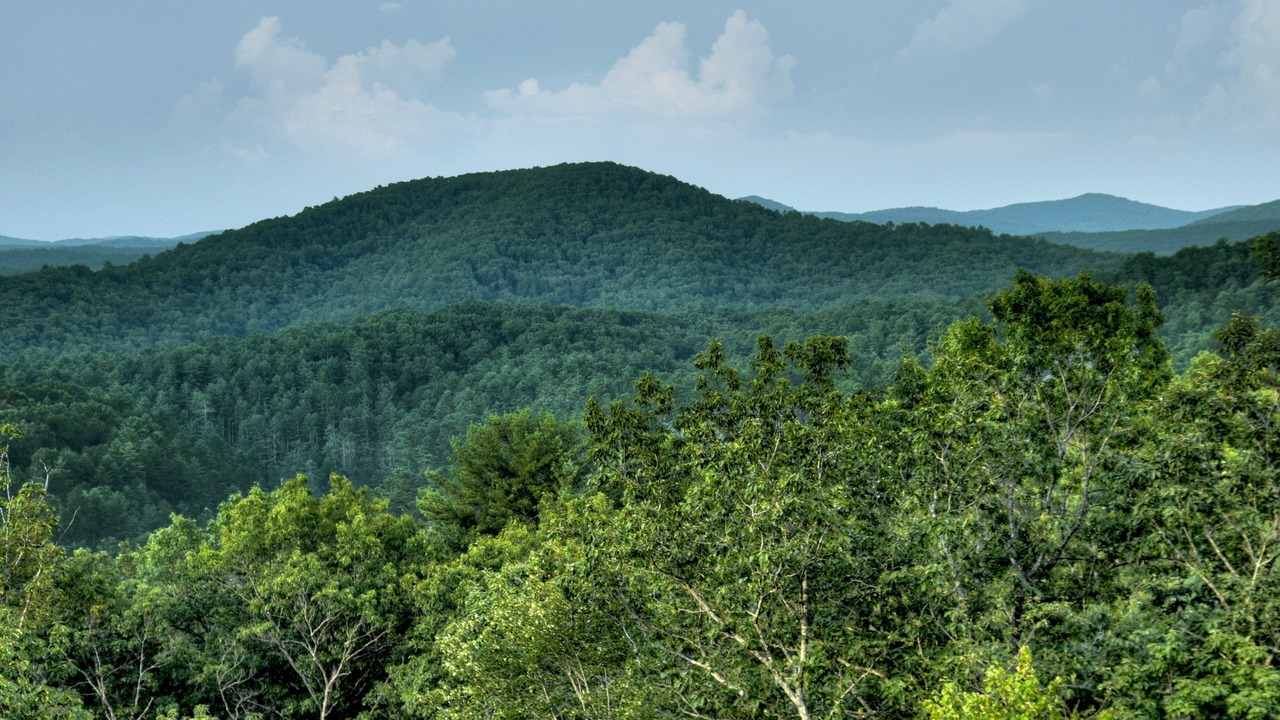 Photo of Others in Raccoon Ridge
