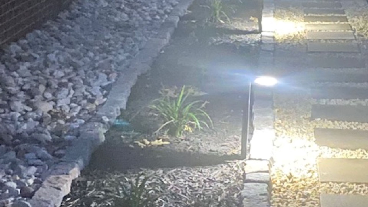 Photo of Outdoor in Delmar
