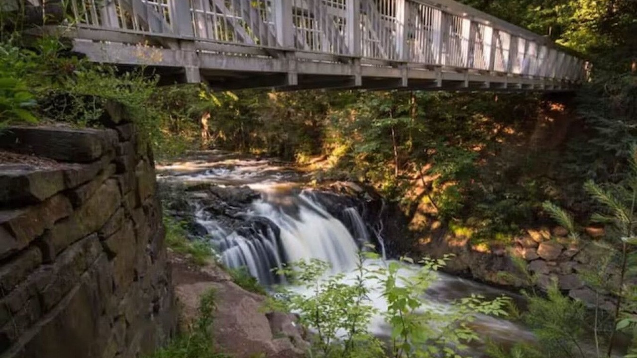 Photo of Outdoor in Pine Grove