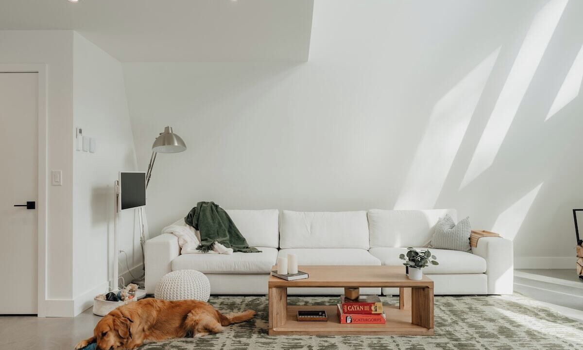 Photo of Livingroom in Pond Eddy