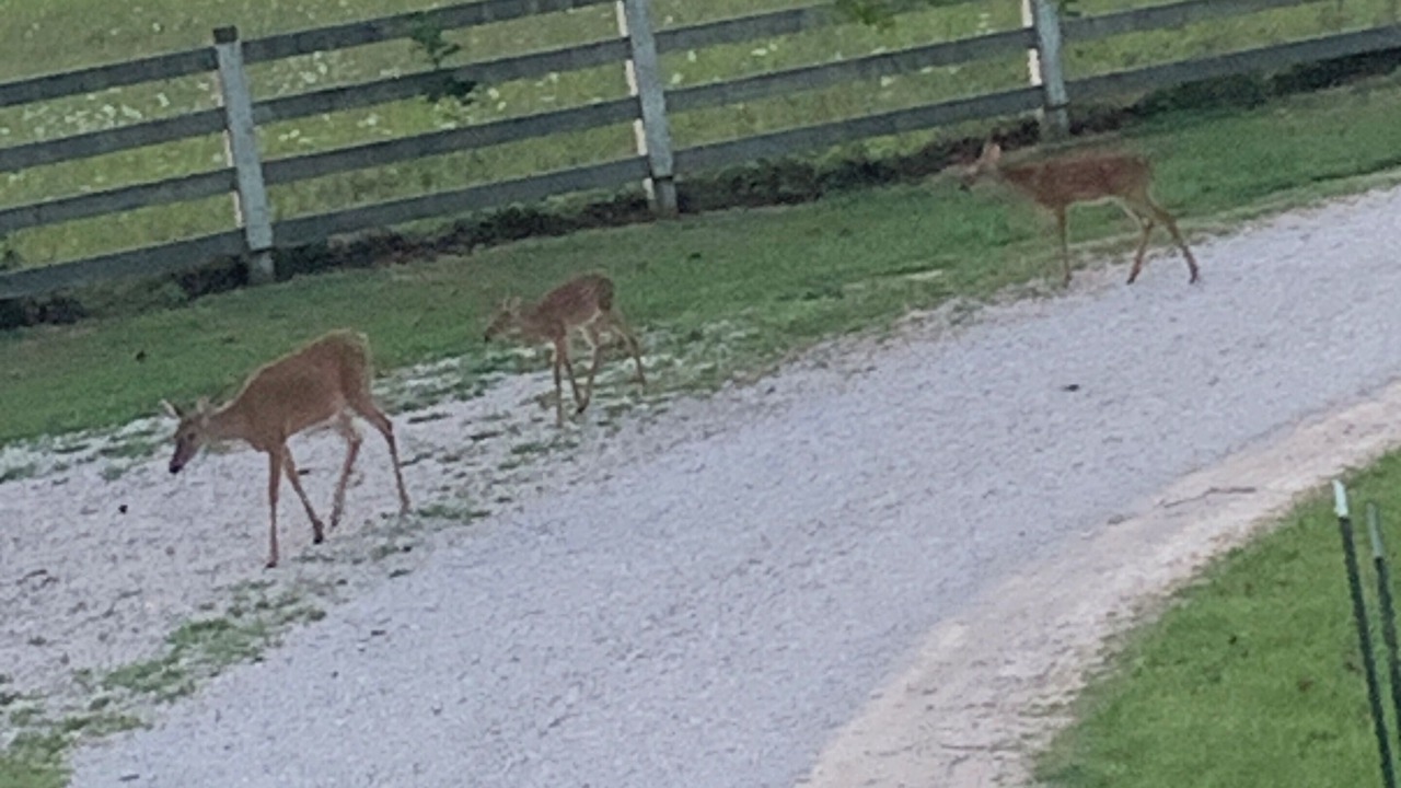 Photo of Others in Davisville