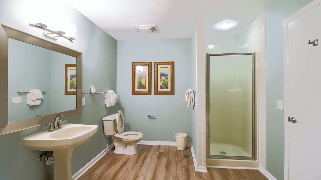 Photo of Bathroom in Massanutten
