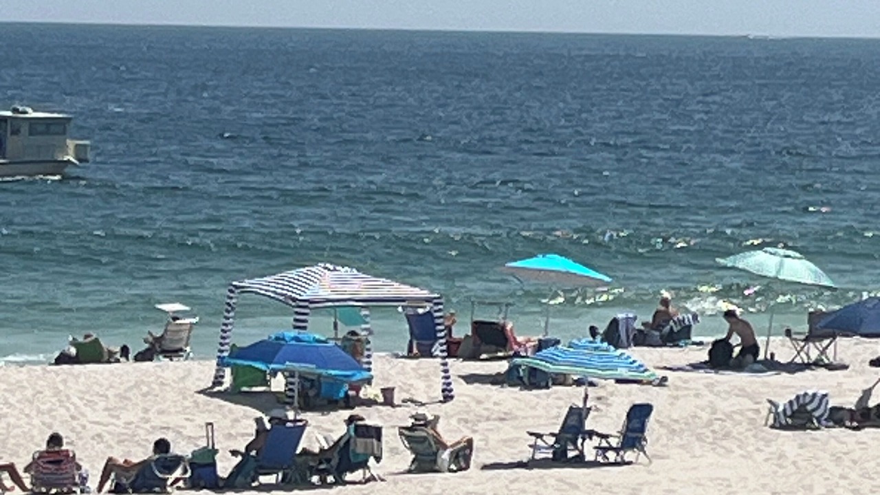 Photo of Others in Ortley Beach