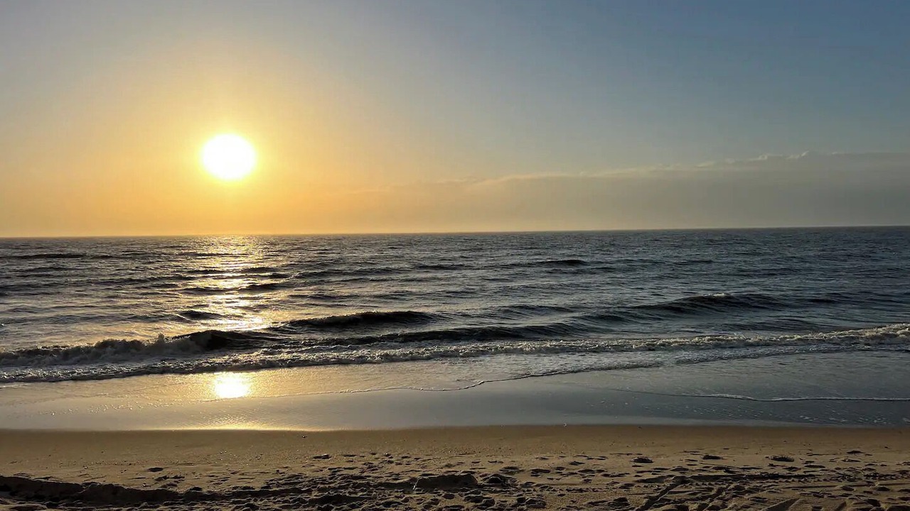 Photo of Others in North Cape May