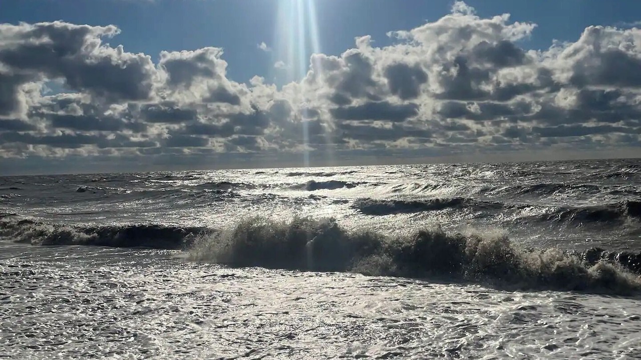 Photo of Others in North Cape May