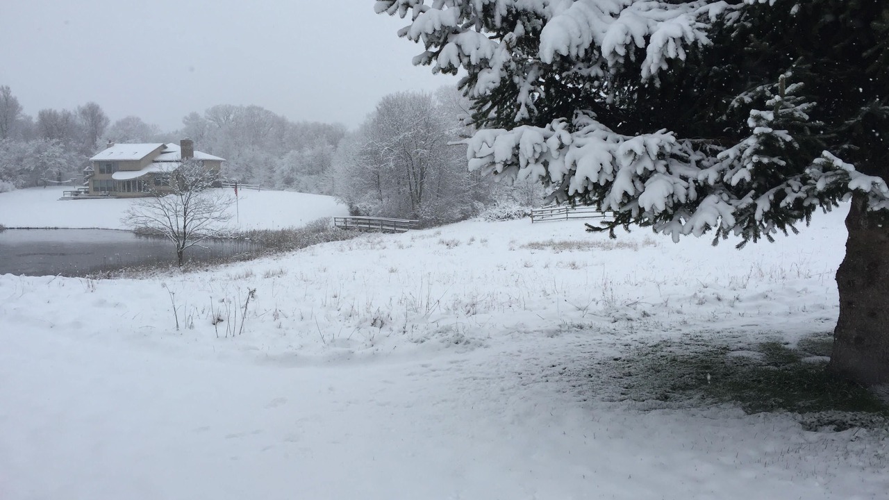 Photo of Outdoor in Grove City