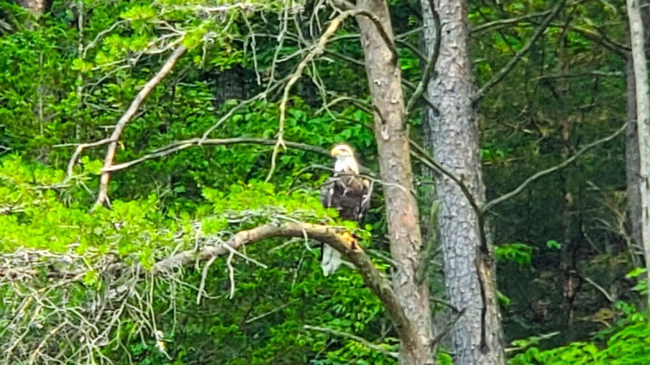 Photo of Outdoor in Jamestown