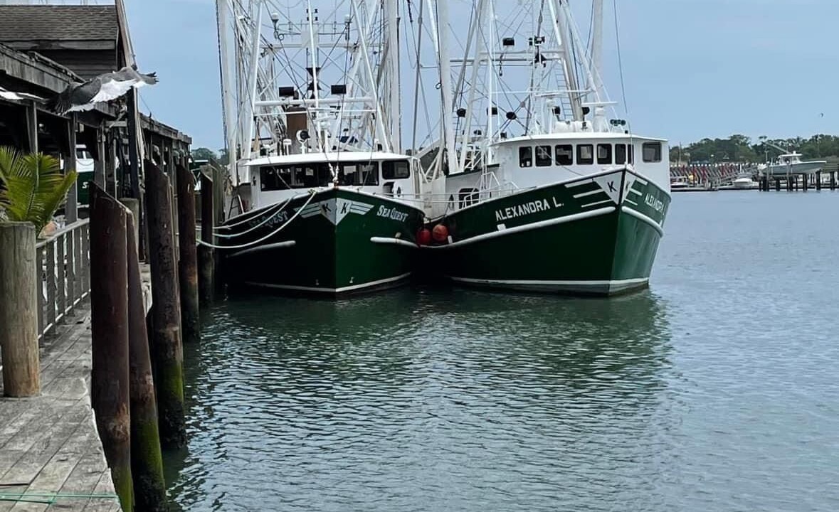 Photo of Others in North Cape May