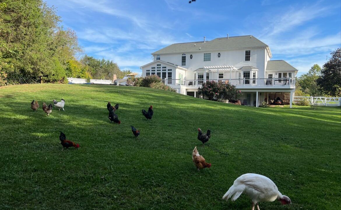 Photo of Outdoor in Nokesville