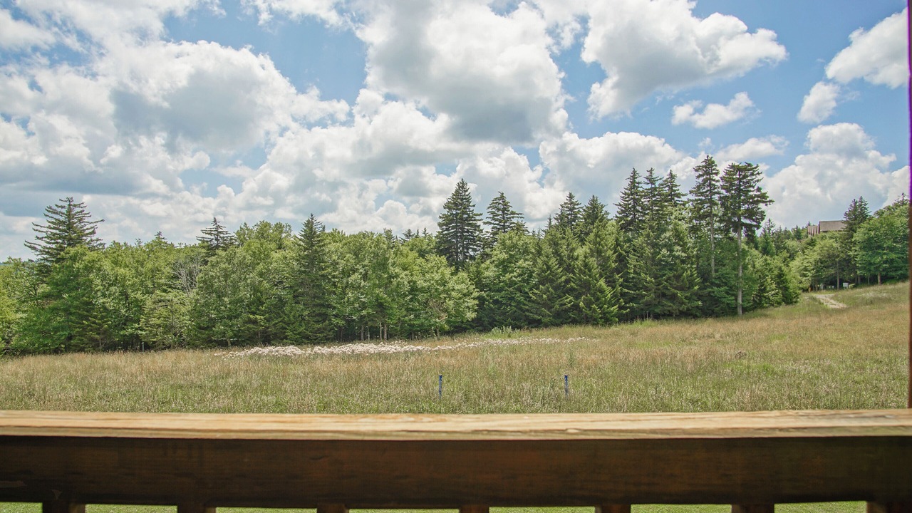 Photo of Outdoor in Snowshoe