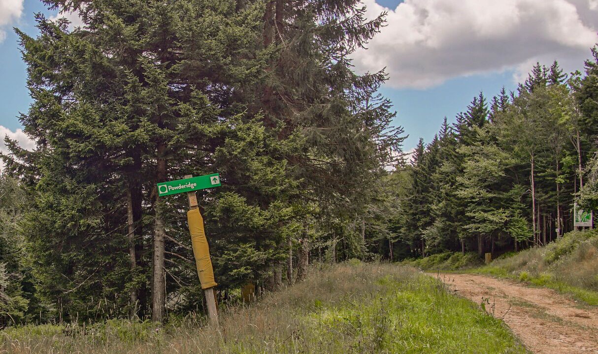 Photo of Outdoor in Snowshoe