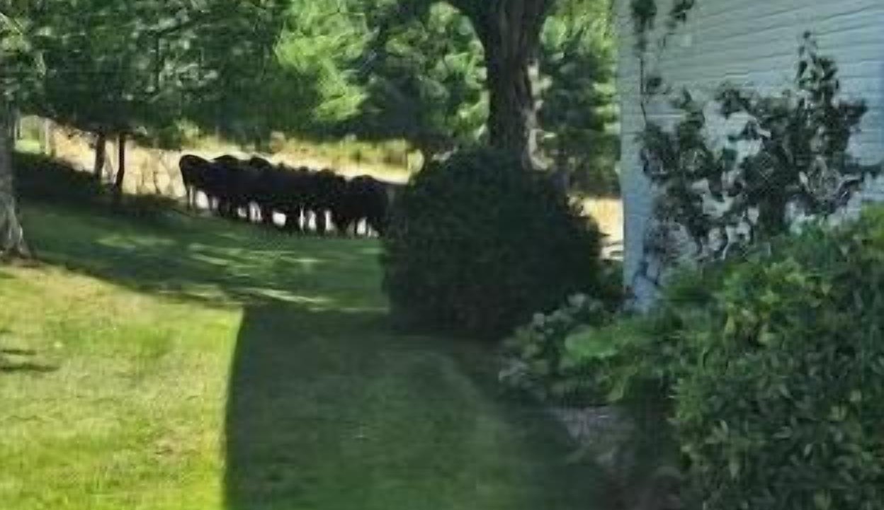 Photo of Outdoor in St. Marys