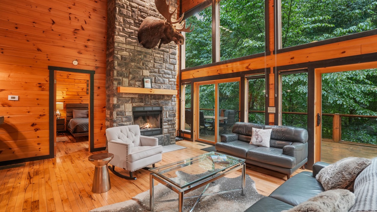 Photo of Livingroom in Sugar Grove