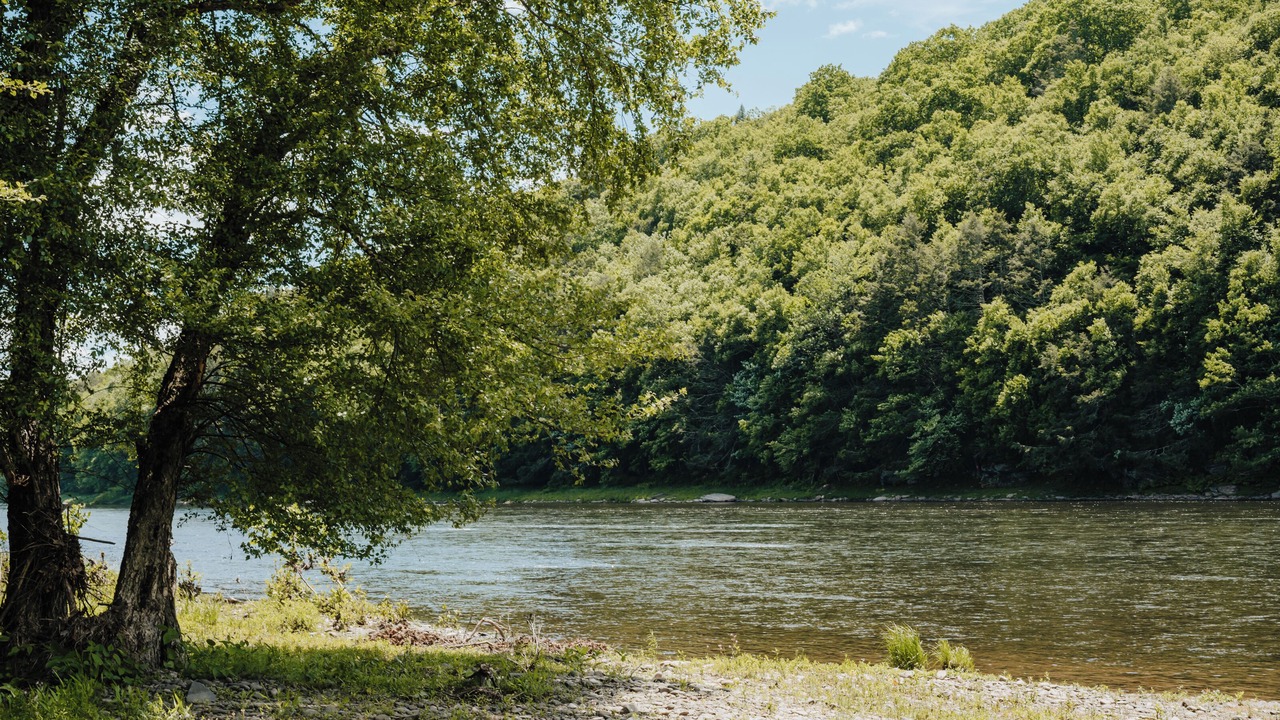 Photo of Outdoor in Narrowsburg