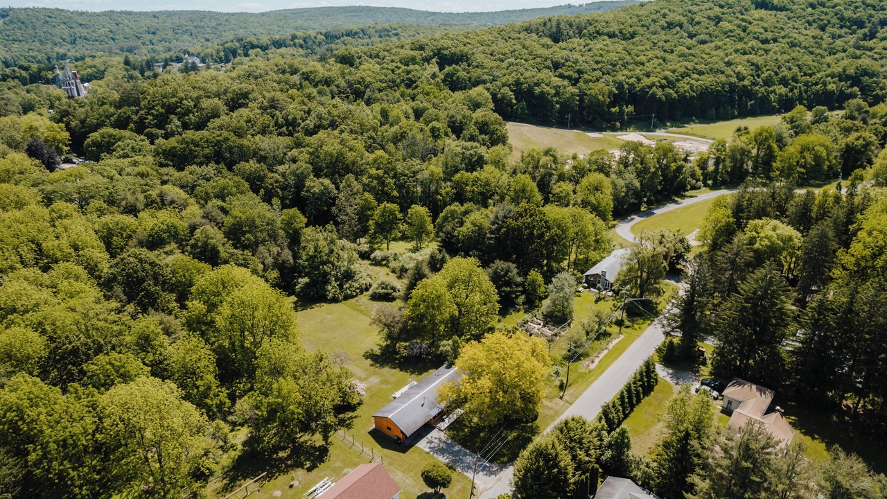 Photo of Outdoor in Narrowsburg