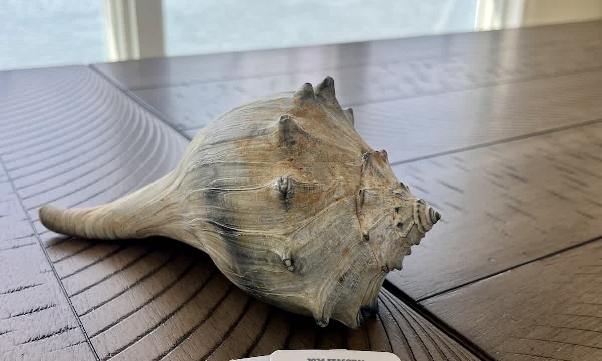 Photo of Others in Stone Harbor