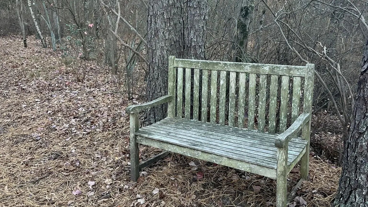 Photo of Outdoor in Marlton