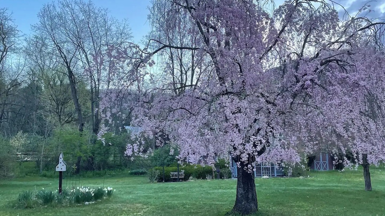 Photo of Outdoor in Jersey Shore