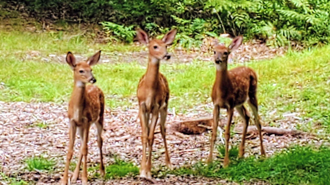 Photo of Others in Hawley