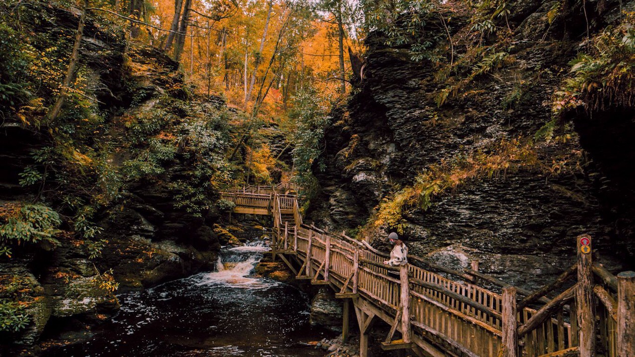 Photo of Outdoor in Bushkill