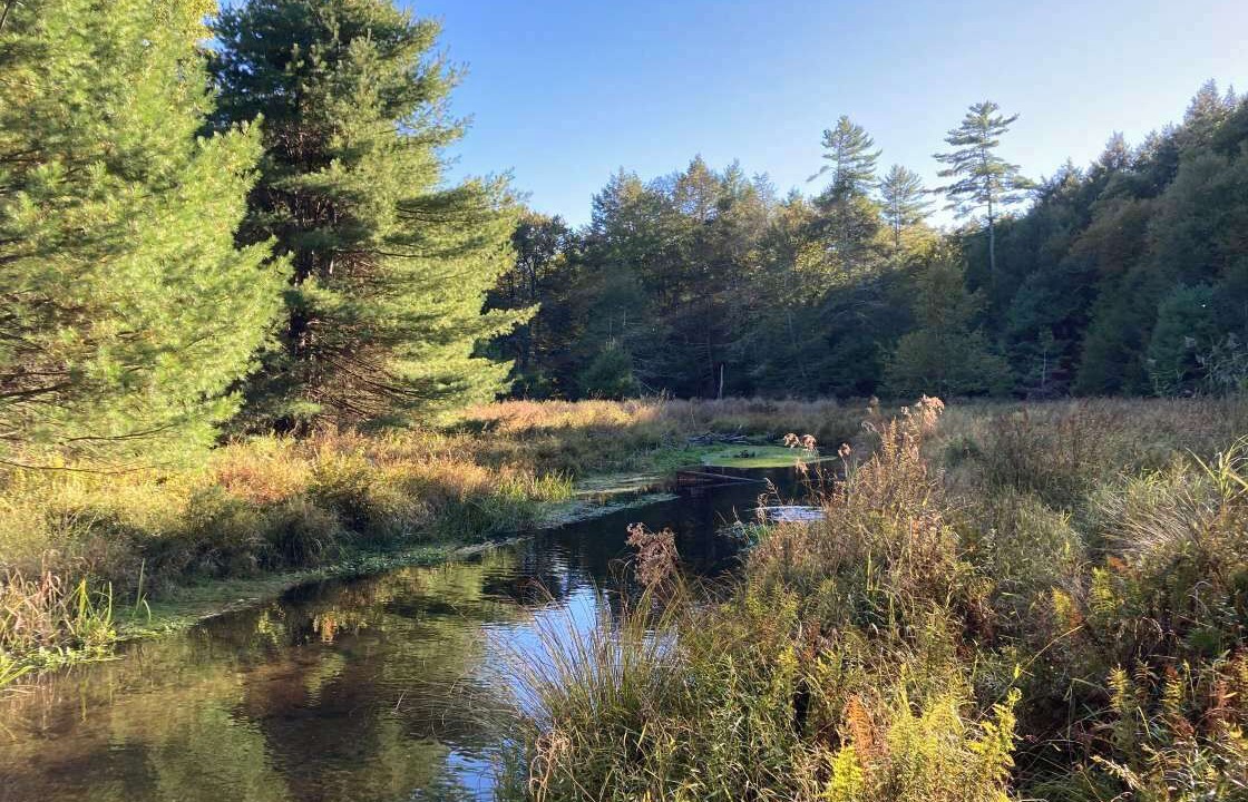 Photo of Outdoor in Sparrow Bush