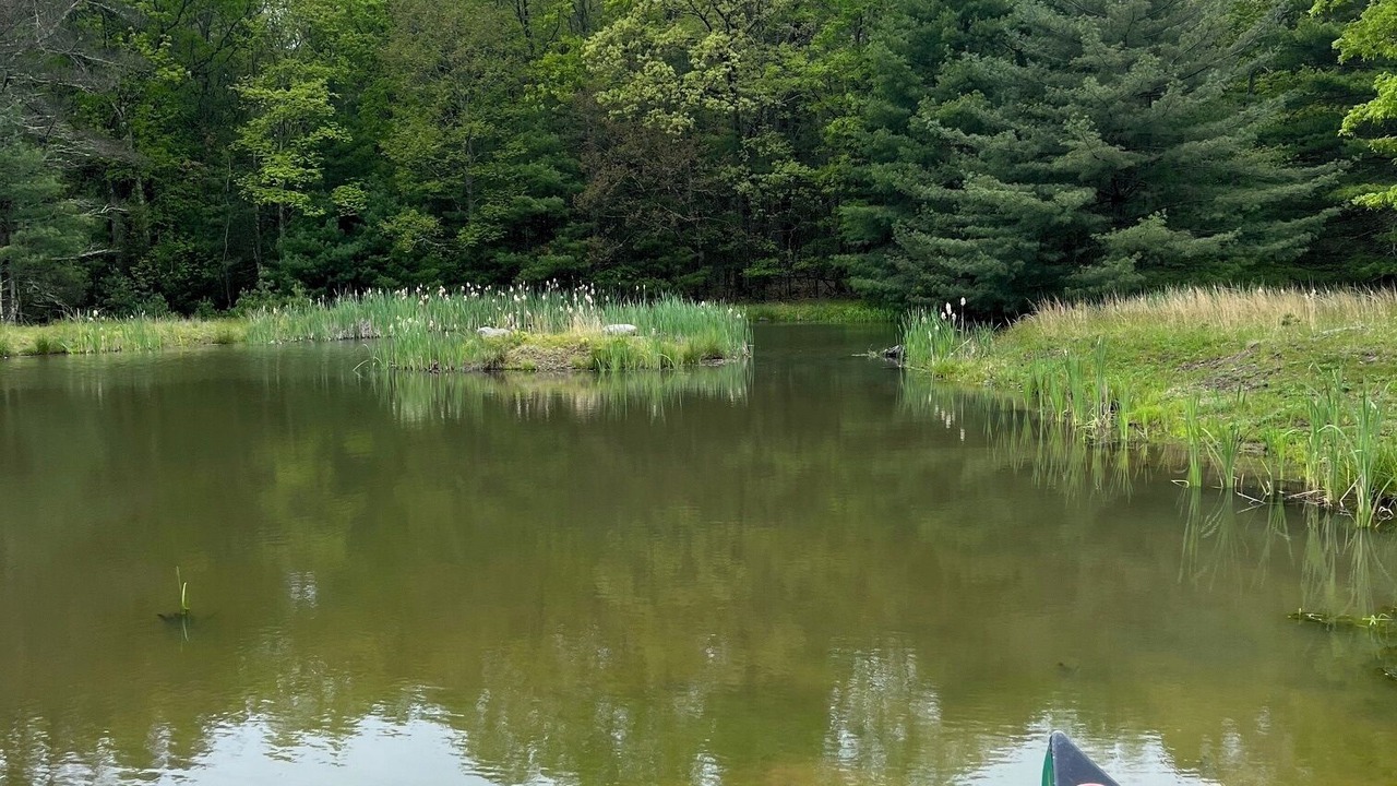 Photo of Outdoor in Sparrow Bush